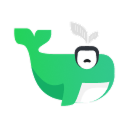 小绿鲸