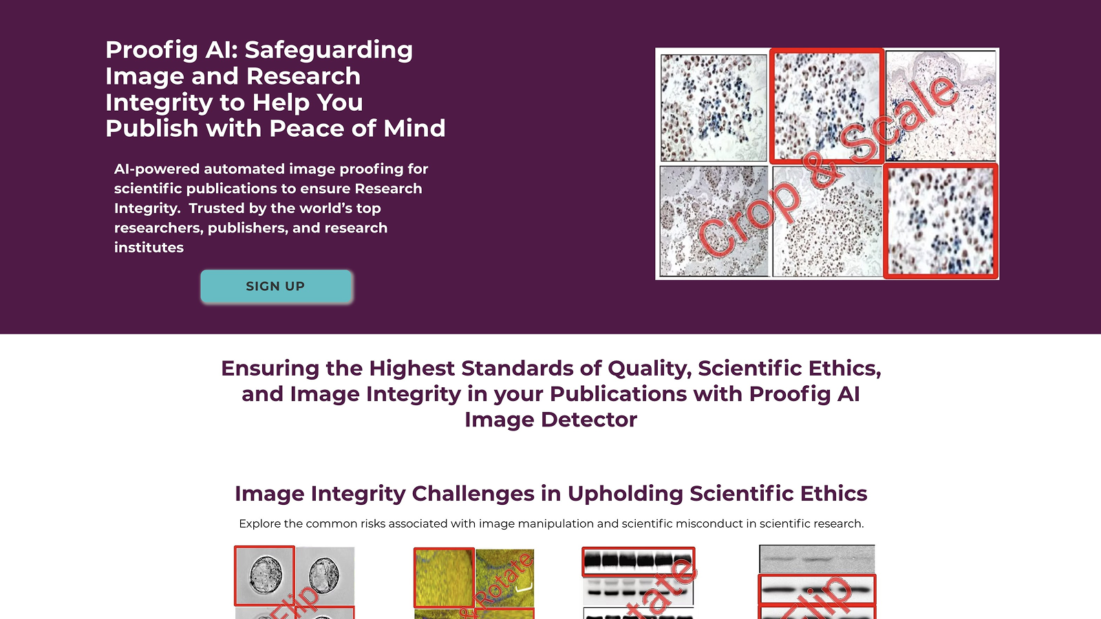 Proofig AI 产品预览图