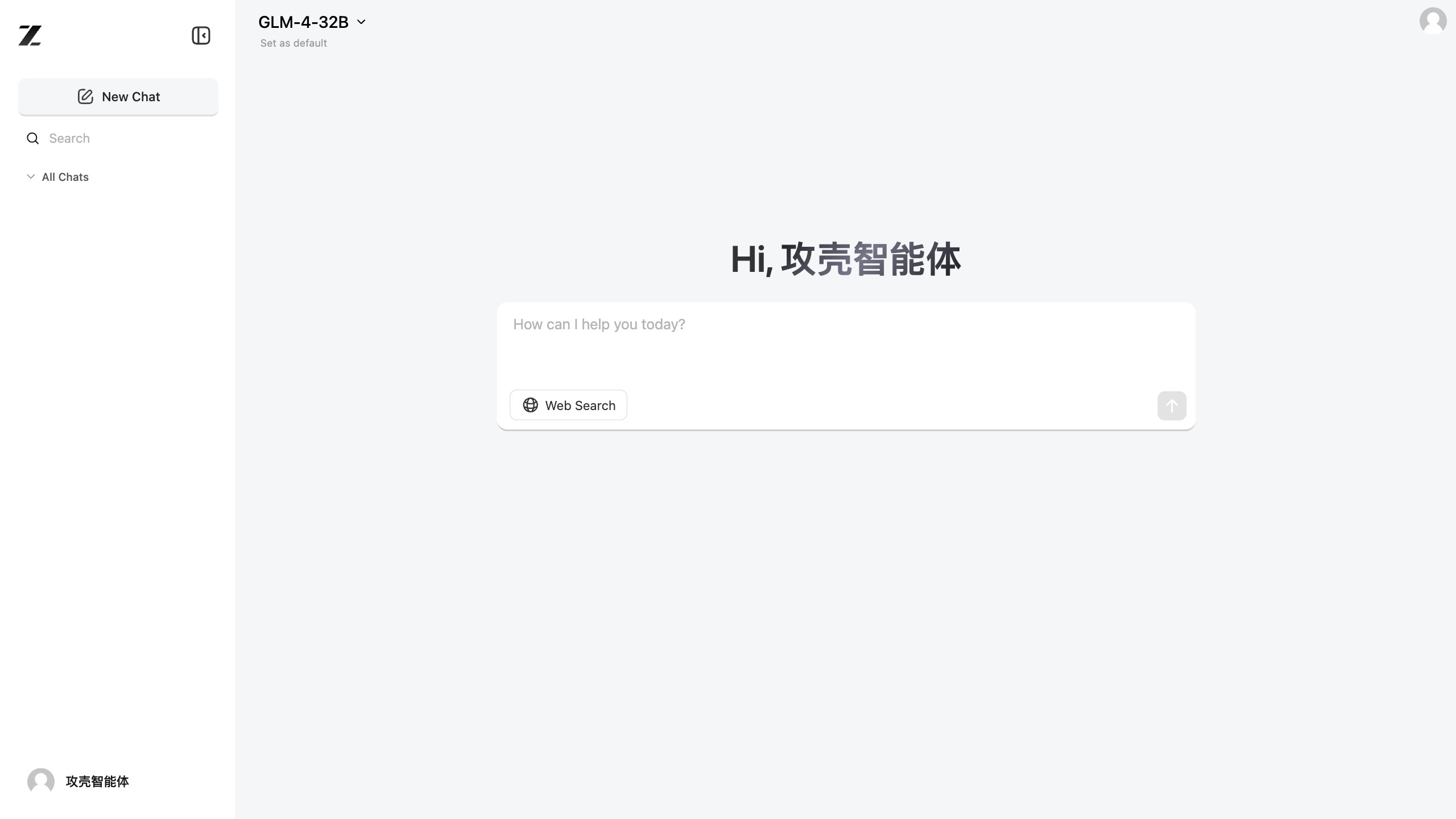 Z.ai 产品预览图