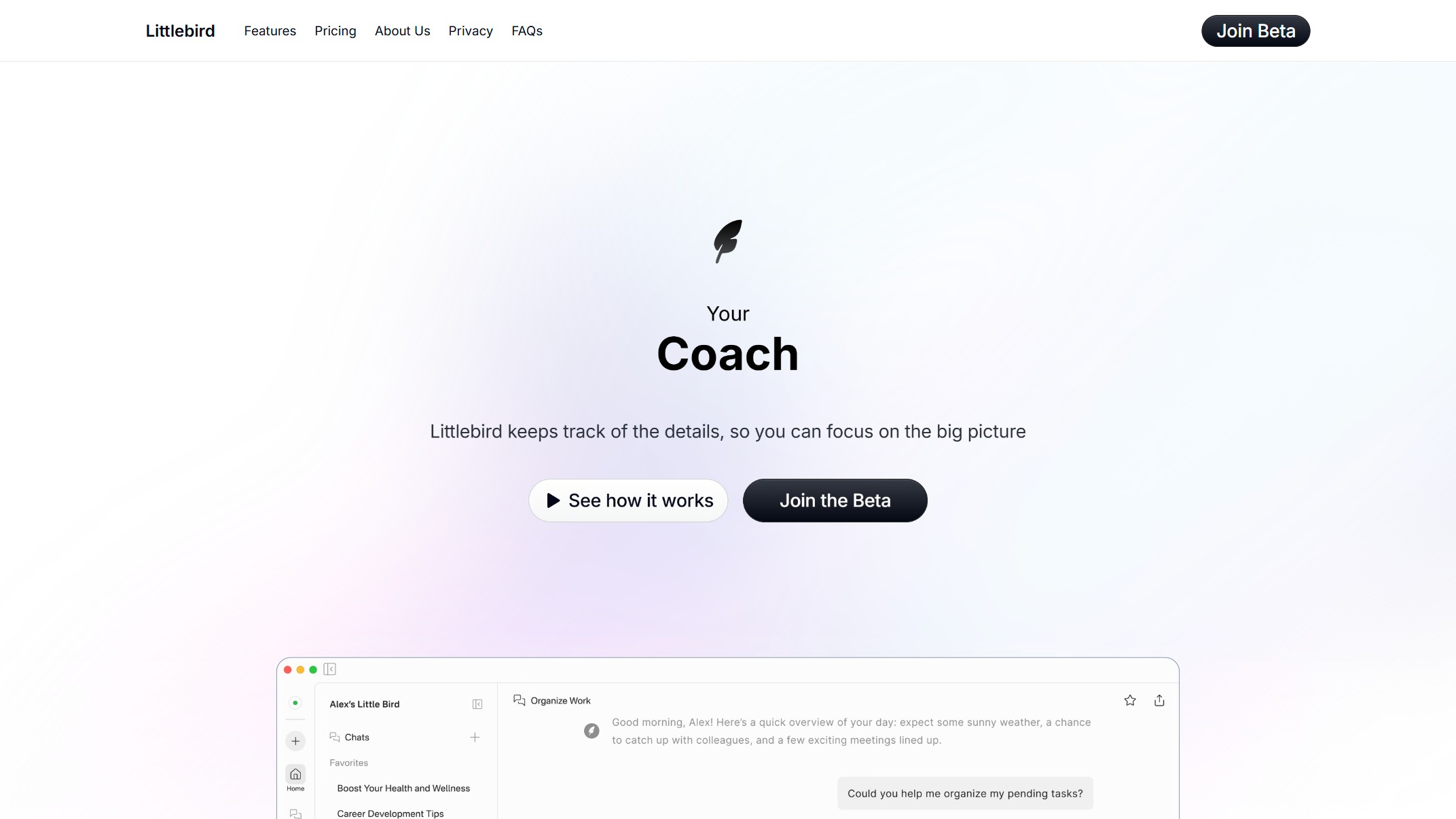 Littlebird 产品预览图